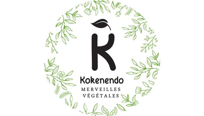 logo Kokenendo